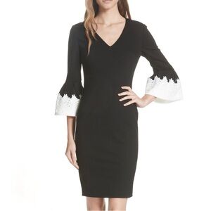 NWT Ted Baker Rastrel Dress, Ted Size 3 (US 8), Black fluted embroidered sleeves